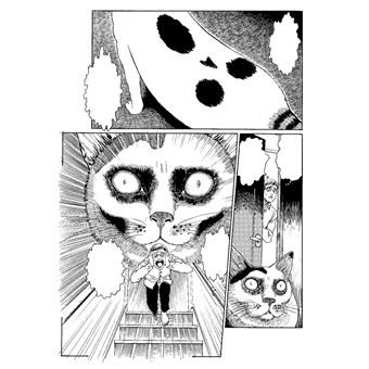 Junji Ito's Cat Diary: Yon & Mu by Ito, Junji