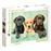 Puzzle Three Labs_0