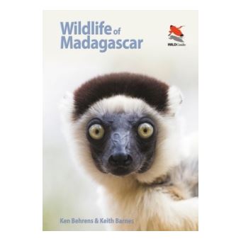 Wildlife of madagascar