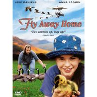 Fly Away Home - DVD Importação