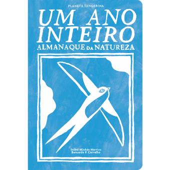 Um Ano Inteiro