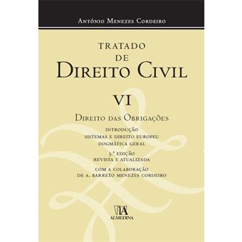 Tratado de Direito Civil - Livro 6
