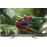 Smart TV Android TCL QLED UHD 4K HDR 55X9006 140cm_0
