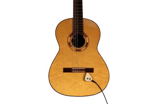 Pickup Universal AP-2 Previo Volume Control 