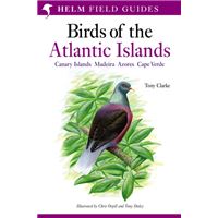 A Field Guide to the Birds of the Atlantic Islands