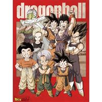 Quadro Dragon Ball Z