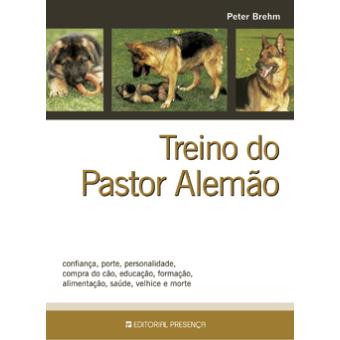 Como educar um pastor alemão? Ensine-o desde pequeno •