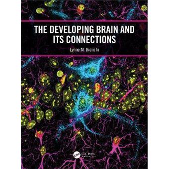 Developing Brain And Its Connection - Bianchi, Lynne M. - Compra Livros ...