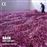 J.S. Bach: Suite Anglaises - 2CD_0