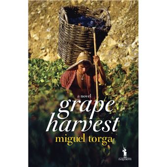 Grape Harvest