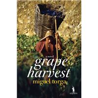 Grape Harvest