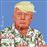 Poster Fisura Hipstory - Donald Trump_0