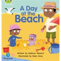 Bug Club Phonics Fiction Early Years and Reception Phase 1 - A Day at The Beach