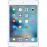 Apple iPad Mini 4 - 128GB Wi-Fi + Cellular (Prateado)_1