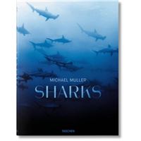 Michael Muller: Sharks