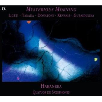Mysterious Morning