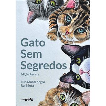 Jogo da memória desafia participantes a encontrar o gato e seu dono