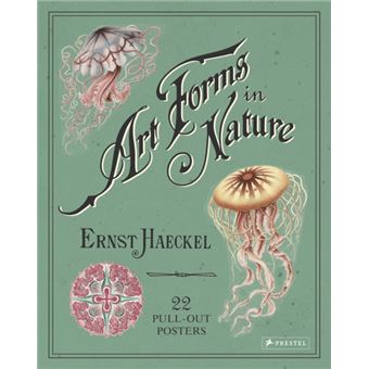 Ernst haeckel: art forms in nature: - 1