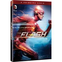 The Flash - 1ª Temporada