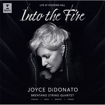 Into the Fire - CD