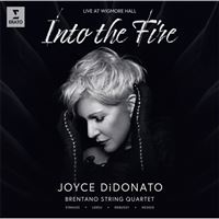 Into the Fire - CD