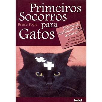 Primeiros Soorros Para Gatos