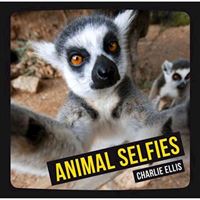 Animal selfies
