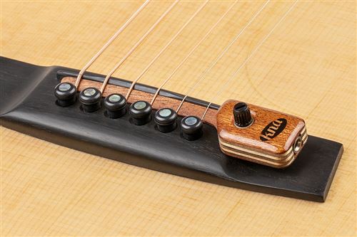 Pickup Acústica SG-2 Previo 