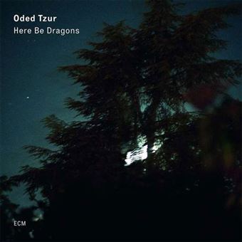Here Be Dragons - LP 12''
