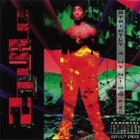 Strictly 4 My N.I.G.G.A.Z… - 2LP 180g Vinil 12''