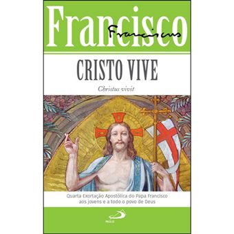 A Alegria do Evangelho Exortação Apostólica Evangelii Gaudium - Brochado -  Papa Francisco - Compra Livros na