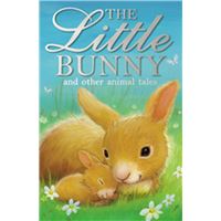The Little Bunny