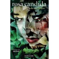 Rosa Candida