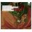 Beethoven | Piano Trios nº 6 & 7_0