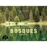 Viaje visual y sonoro por los bosqu