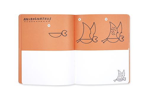 Livro dinossauro para desenhar - Desapegos de Roupas quase novas ou nunca  usadas para bebês, crianças e mamães. 593062