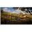 Assassin's Creed Valhalla Gold - Xbox One_2