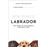 Labrador: The Story of the World's Favourite Dog_0