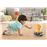 Gatinho no Aspirador Fisher Price_1