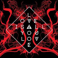 Love is All You Love - LP 12''