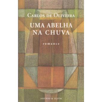 Uma Abelha na Chuva