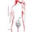 Escrito en el cuerpo_0