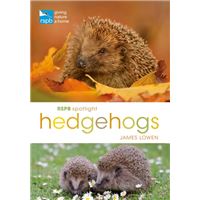 Rspb spotlight hedgehogs