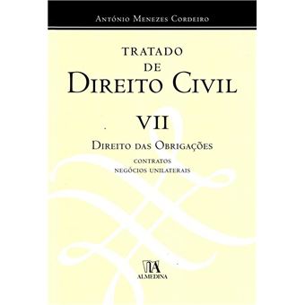 Tratado de Direito Civil Português VII