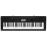 Teclado Portátil CTK-3500 Casio_0