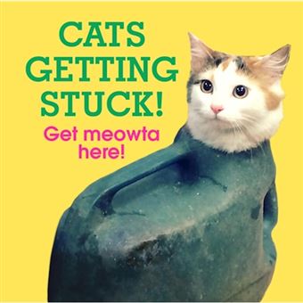 Cats getting stuck!