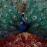 Sorceress (DGP) (2CD)_0