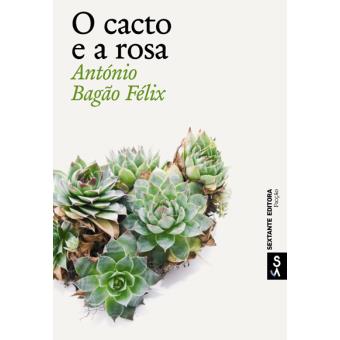 O Cacto e a Rosa
