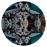 The Grateful Dead (50th Anniversary) (Deluxe Edition) (Picture Disc)_0