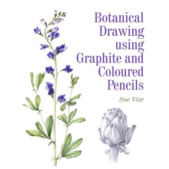Botanical Drawing Using Graphite and Coloured Pencils - 1